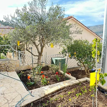 Levanda Apartment